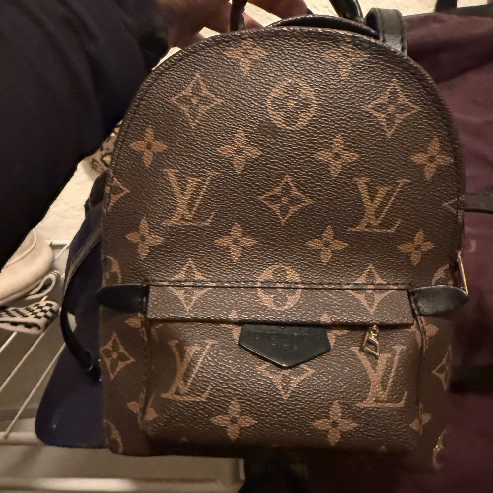 Louis Vuitton Monogram Backpack - image 1